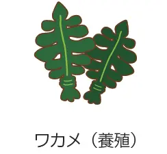 ワカメ（養殖）